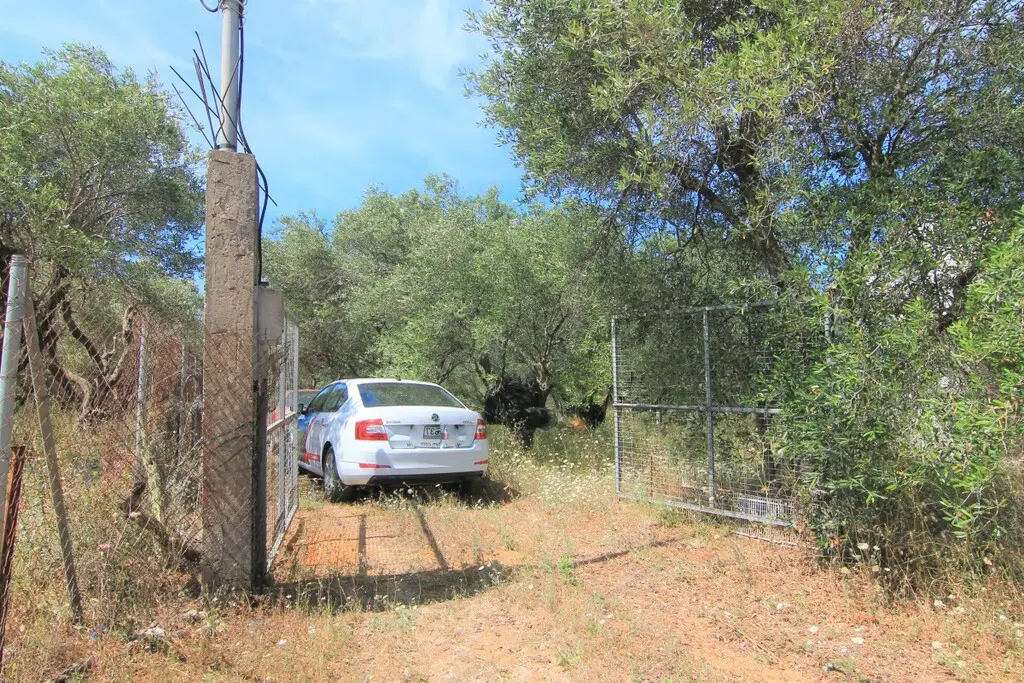 Land Of 10000 M² In Corfu