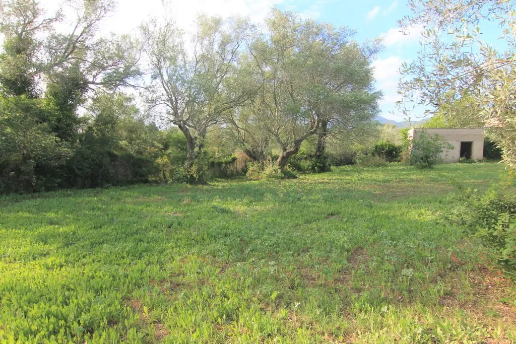 Land Of 4188 M² In Corfu