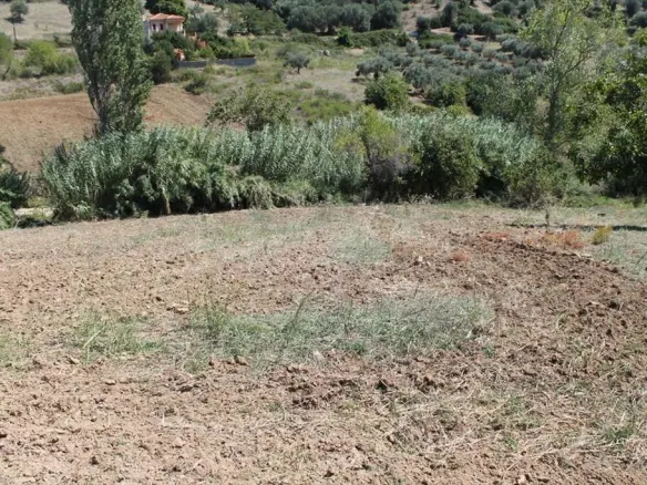 Land In Kassandra, Greece