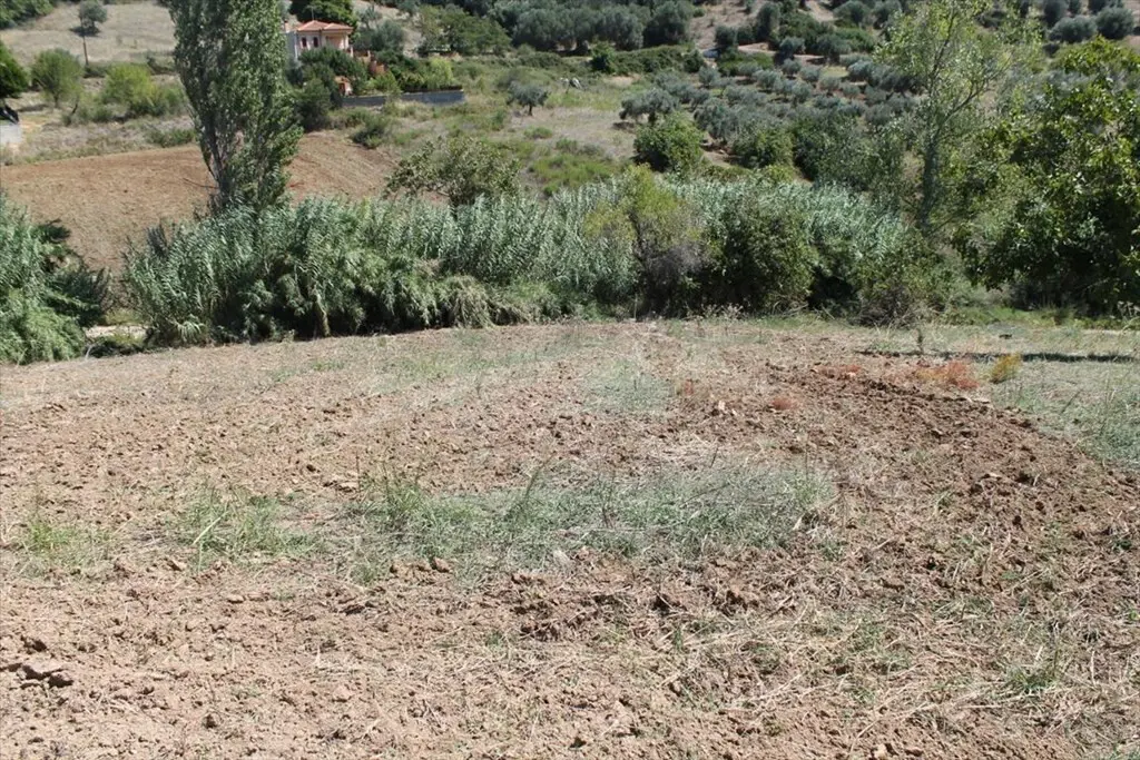 Land Of 1441 M² In Kassandra, Chalkidiki