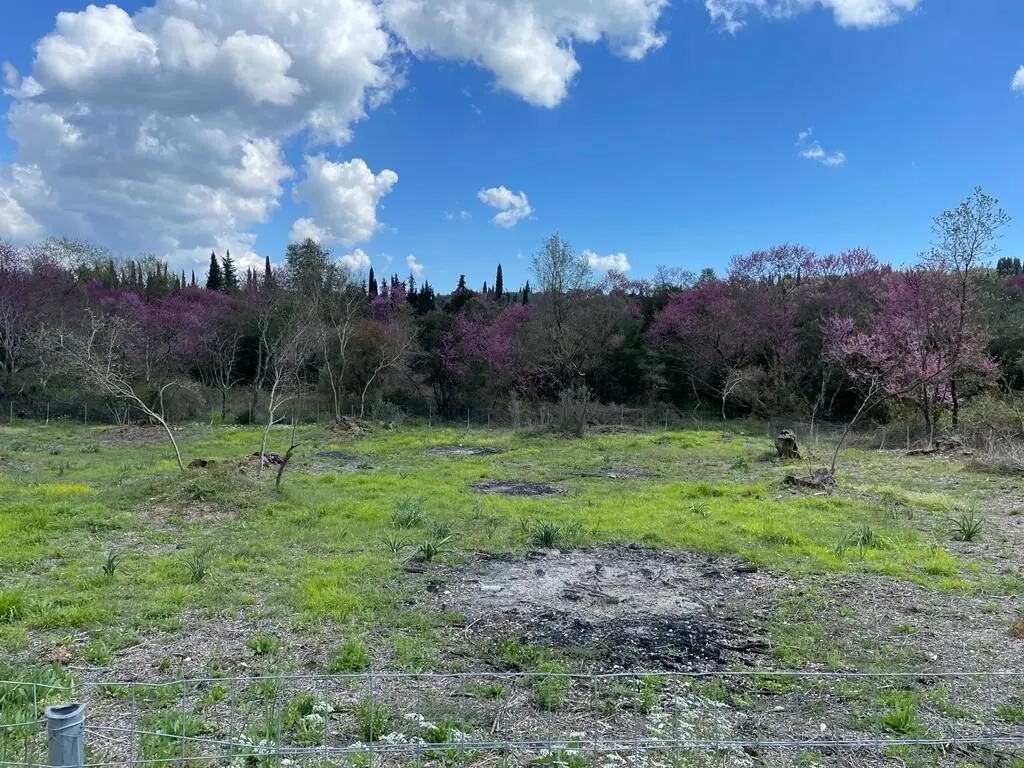 Land Of 1460 M² In Corfu