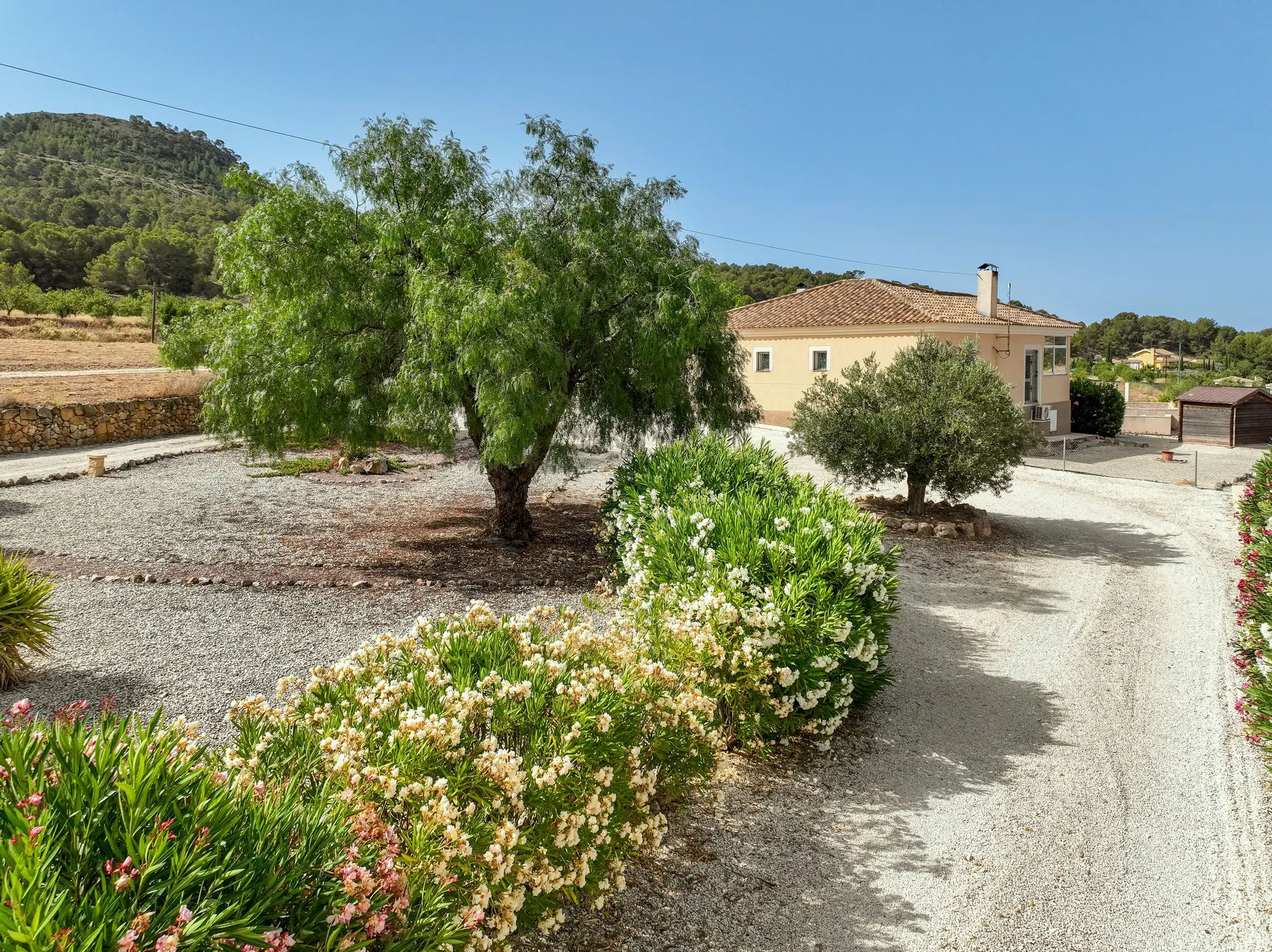 Detached Villa Of 173 M² In Pinoso, Spain