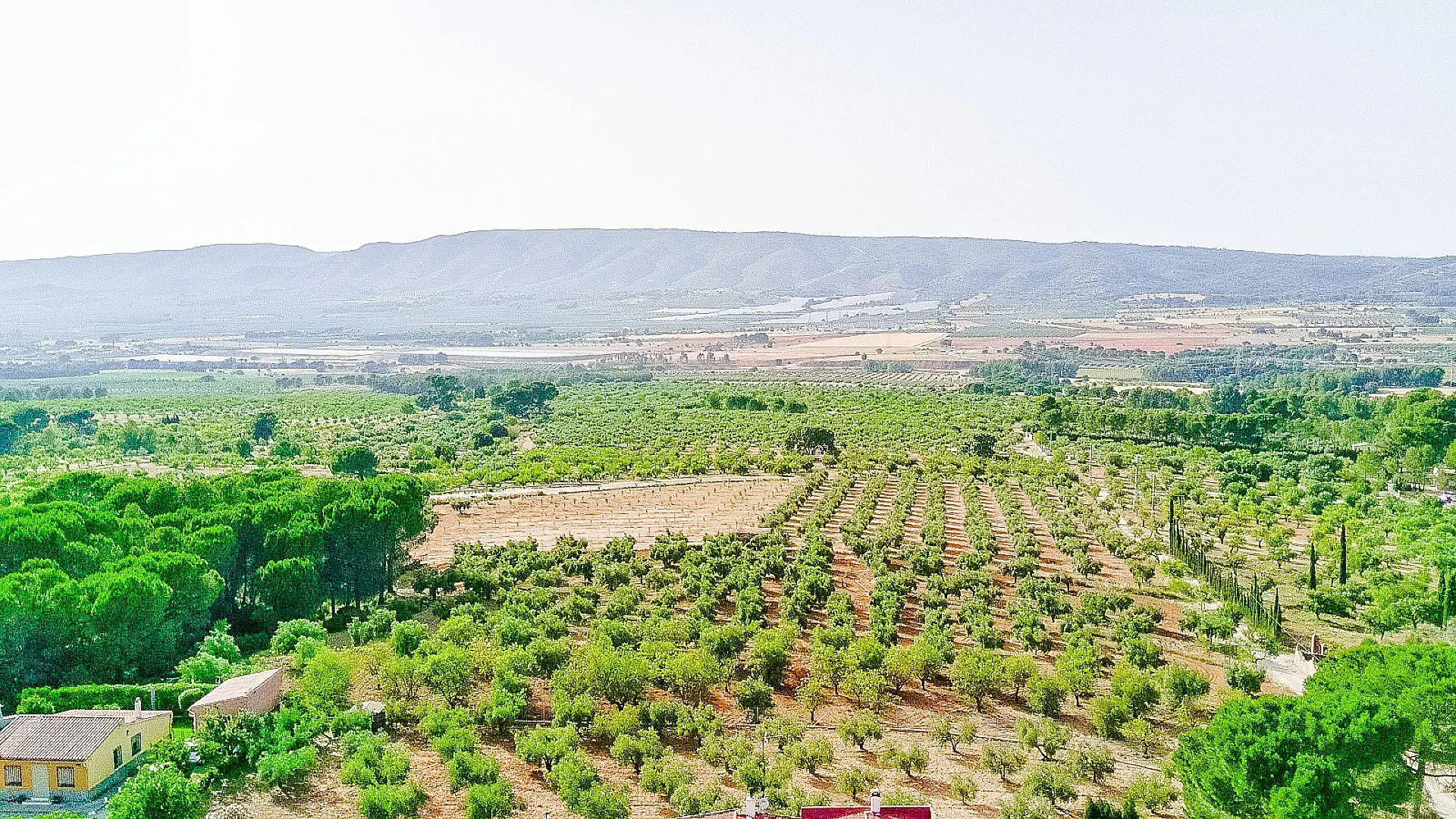 Country House Of 157 M² In Biar, Spain