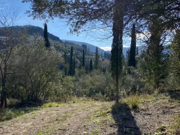 Land In Corfu, Greece