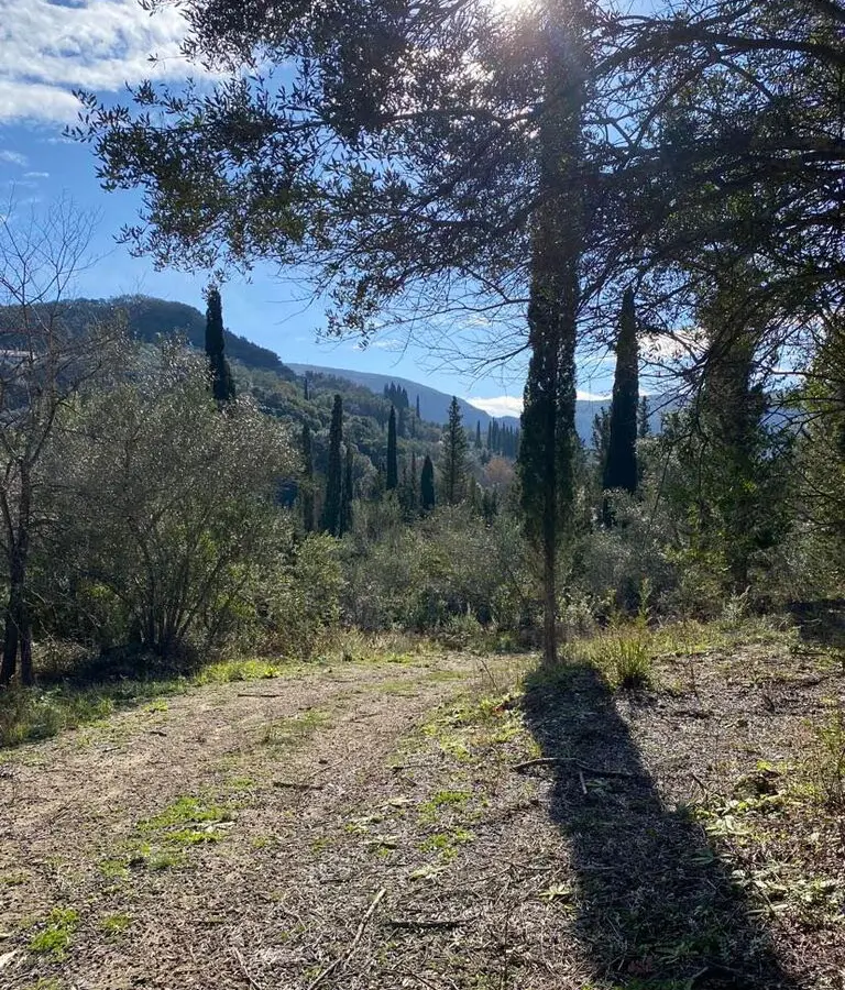 Land In Corfu, Greece
