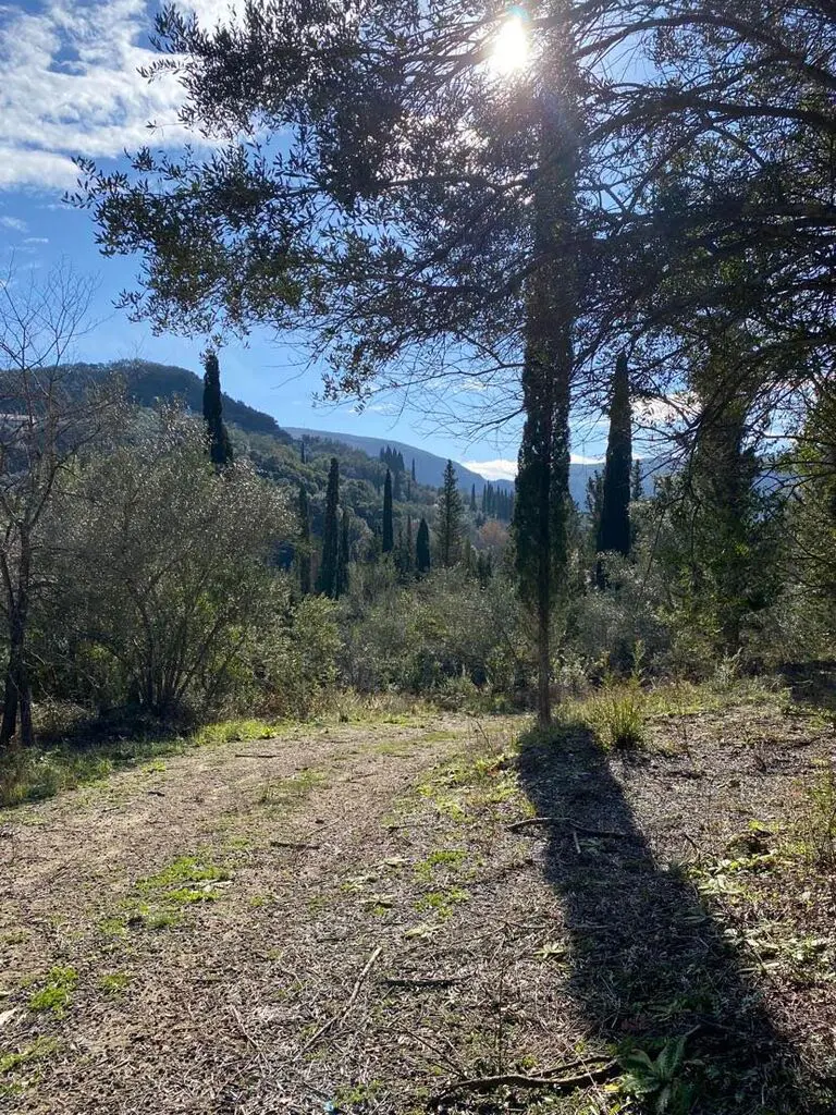 Land Of 95095 M² In Corfu