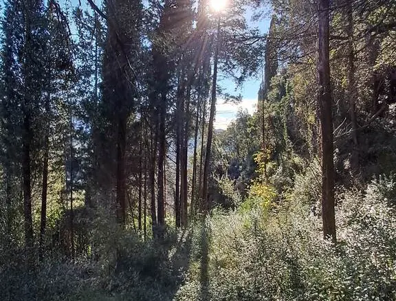 Land In Corfu, Greece