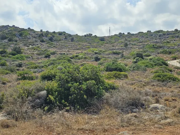 Land In Vrachasi, Greece