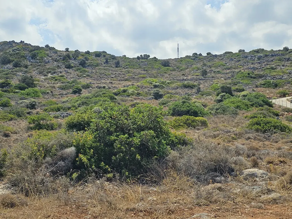 Land In Vrachasi, Greece