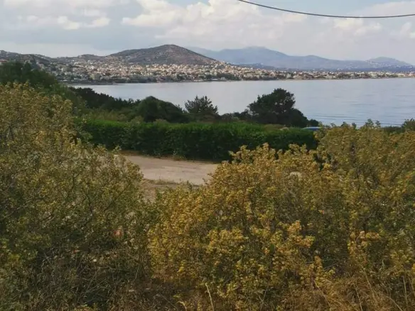Land In Markopoulo, Greece
