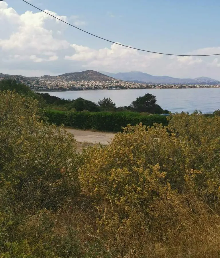 Land In Markopoulo, Greece