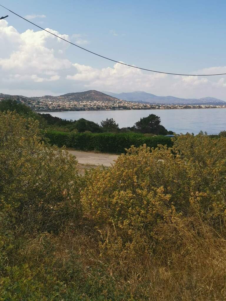 Land In Markopoulo, Greece