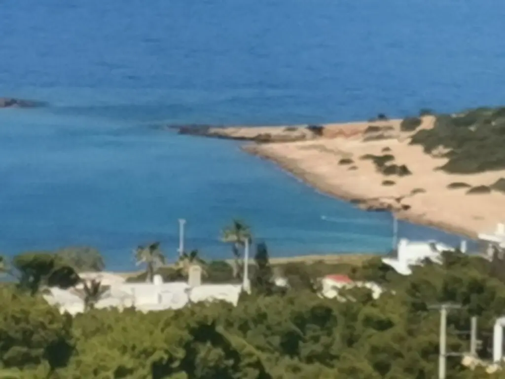 Land In Markopoulo, Greece