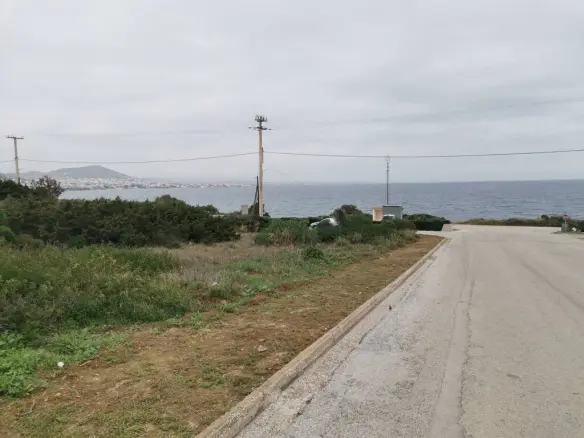 Land In Markopoulo, Greece