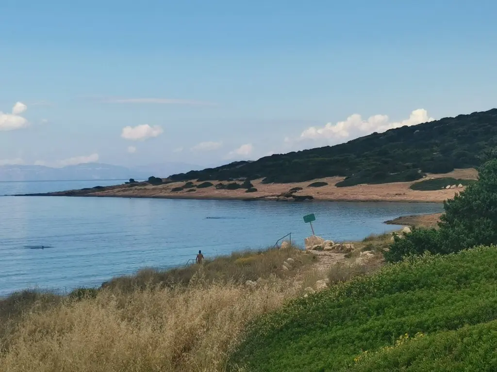 Land In Markopoulo, Greece
