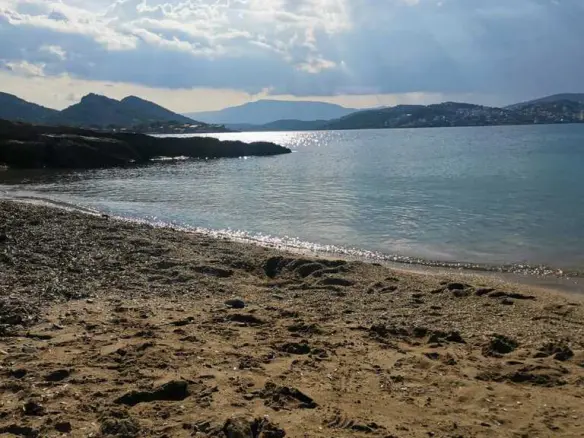 Land In Markopoulo, Greece