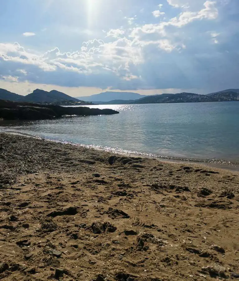 Land In Markopoulo, Greece