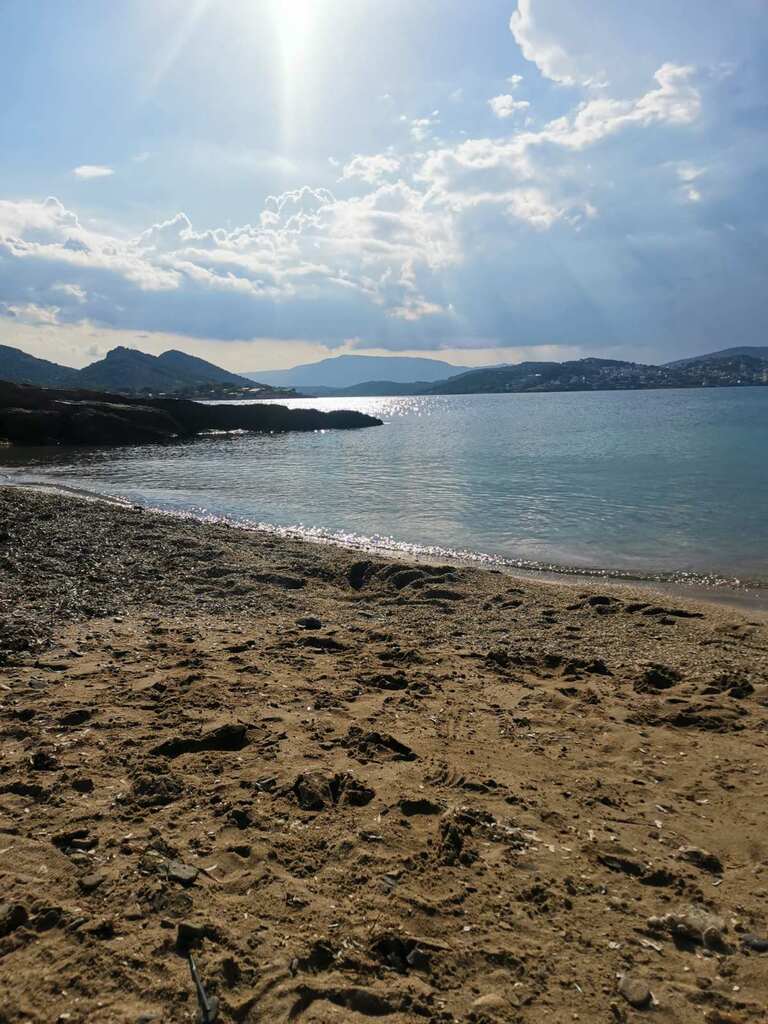 Land In Markopoulo, Greece