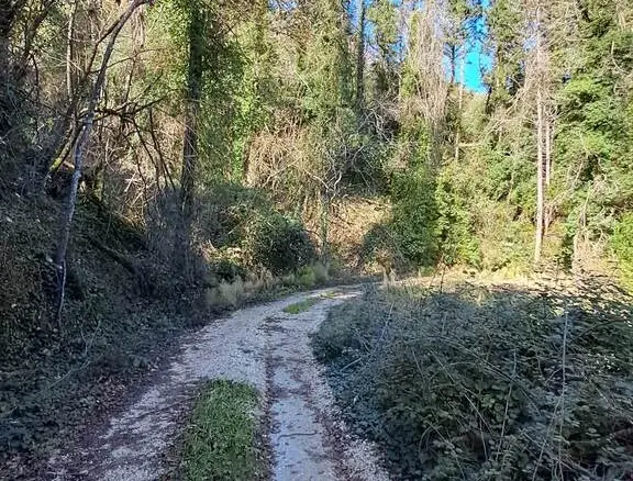Land In Corfu, Greece