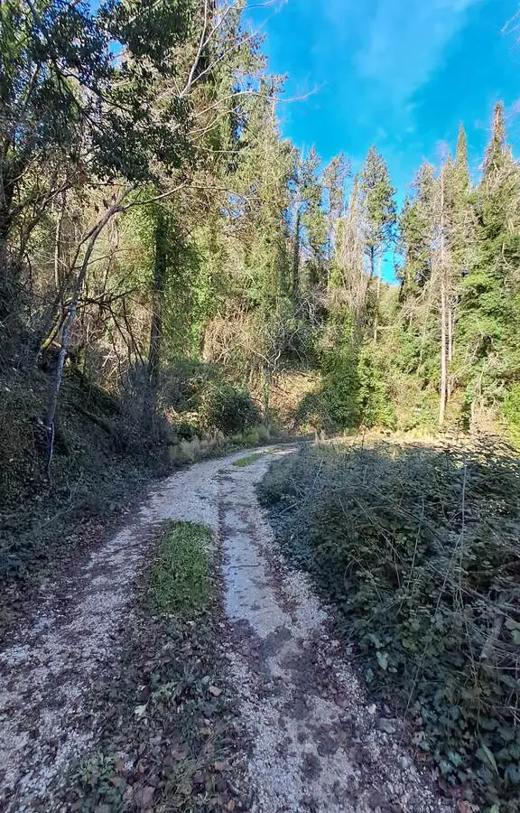 Land In Corfu, Greece
