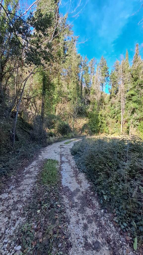 Land Of 95095 M² In Corfu