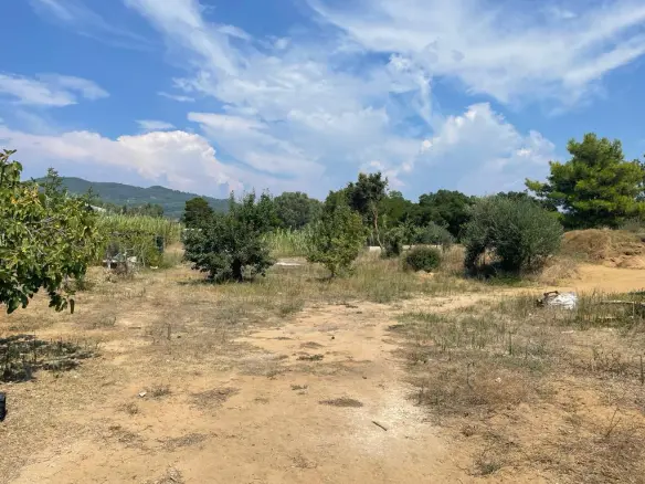 Land In Corfu, Greece