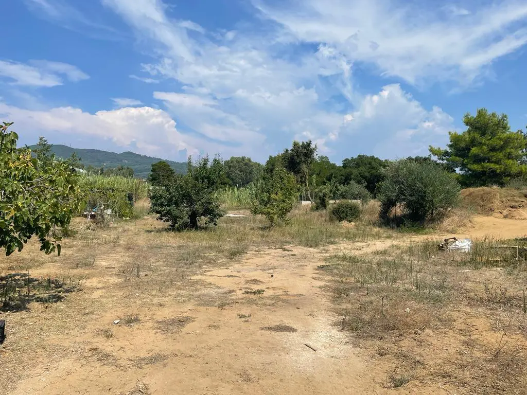 Land In Corfu, Greece