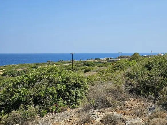 Land In Vrachasi, Greece