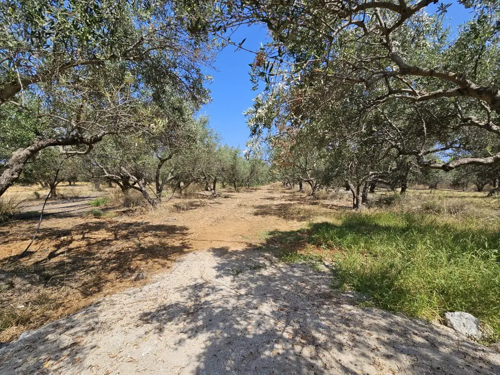 Land In Vrachasi, Greece