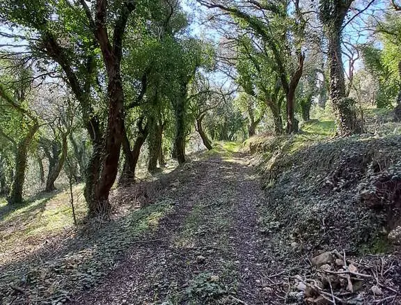 Land In Corfu, Greece