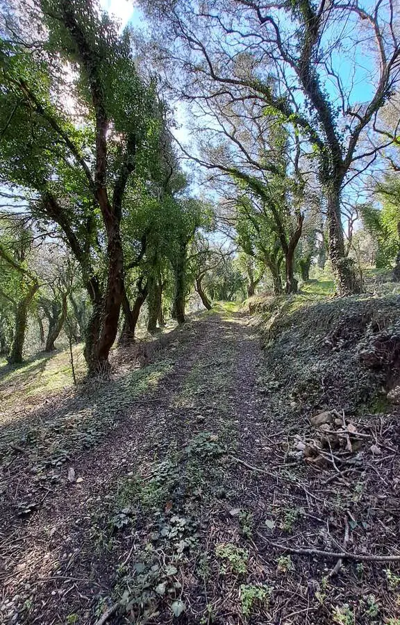 Land In Corfu, Greece
