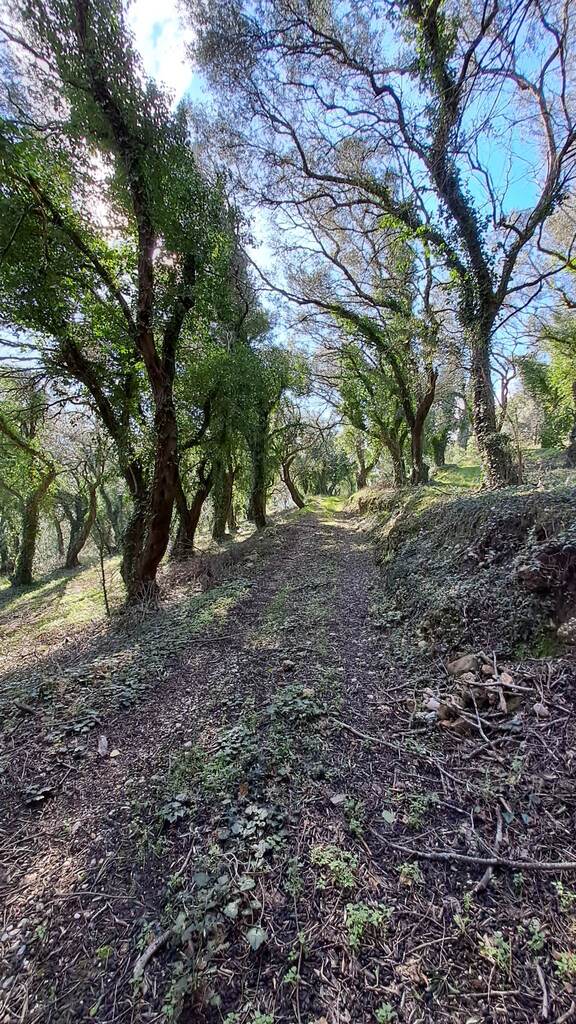 Land Of 95095 M² In Corfu