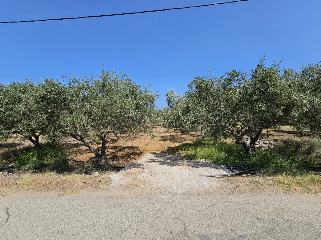Land In Vrachasi, Greece