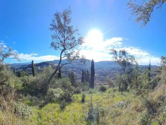 Land Of 95095 M² In Corfu
