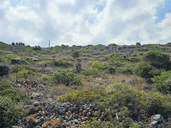 Land In Vrachasi, Greece