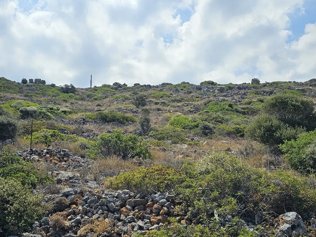 Land In Vrachasi, Greece