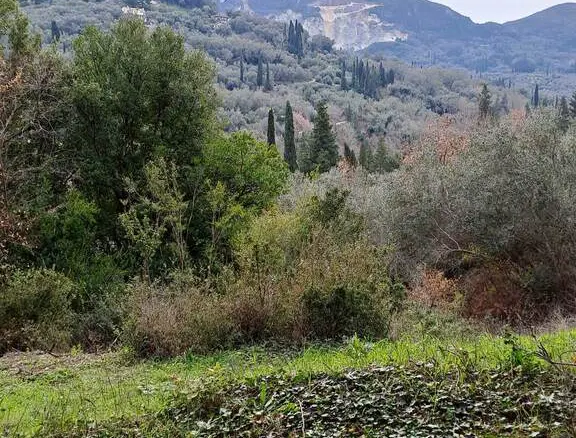 Land In Corfu, Greece