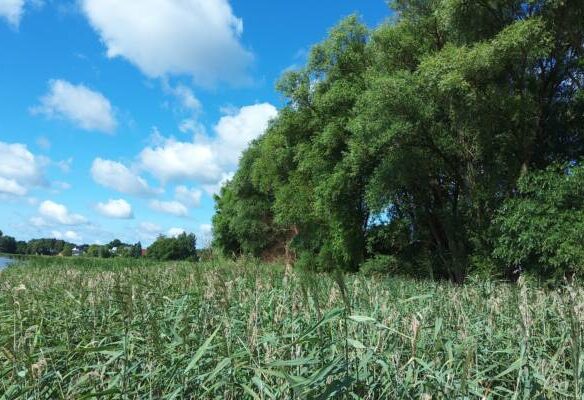 1887 Historic Distillery On A Lake In Poland – 3.8 Ha Estate With 270 M Private Shoreline
