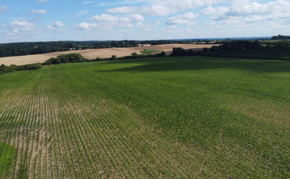 Manor House Of 430000 M² With Manor House, Park & Farm Complex In Lower Silesia, Poland