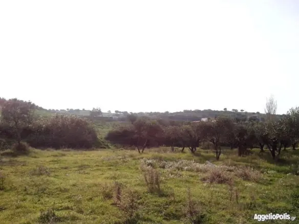 Land Of 6250 M² In Sithonia, Chalkidiki