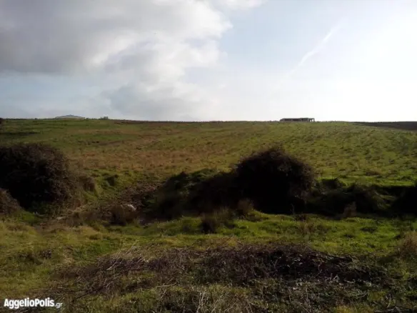 Land In Sithonia, Greece