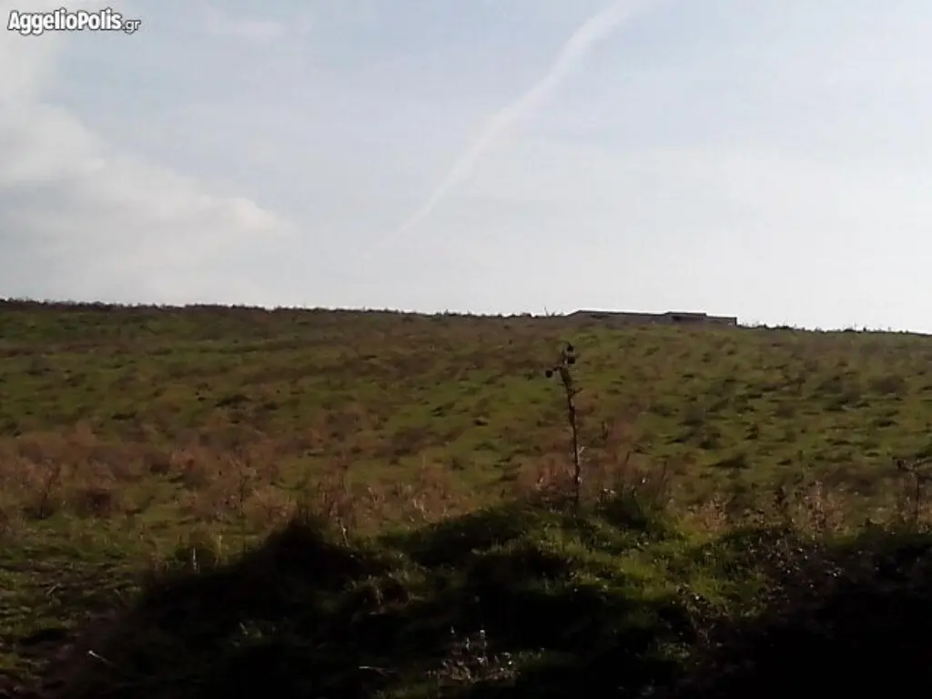 Land In Sithonia, Greece