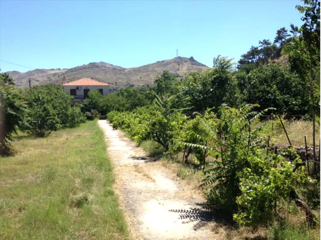 4-bedroom Detached House In Lesvos – Eresos / Antissa, Greece (146 M²)