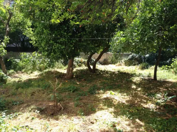 Land In Nea Artaki, Greece