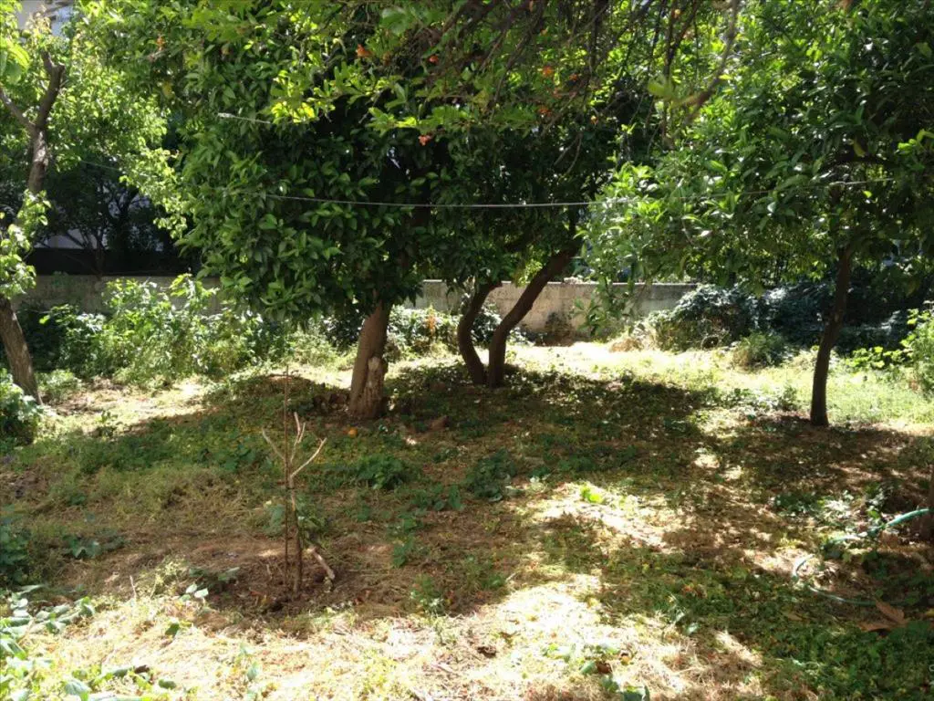 Land In Nea Artaki, Greece