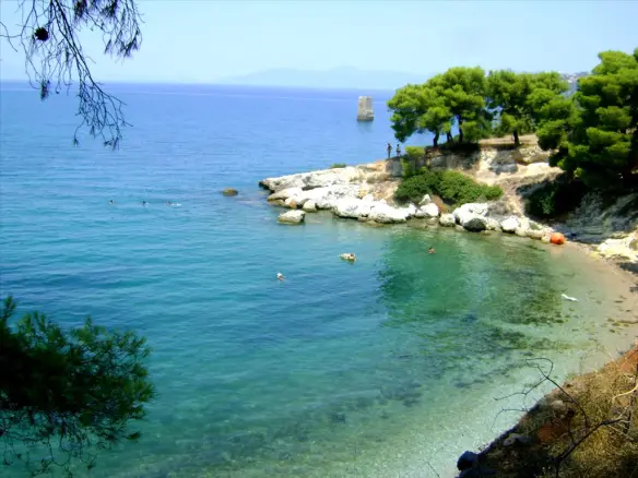 Land Of 6500 M² In Central Greece