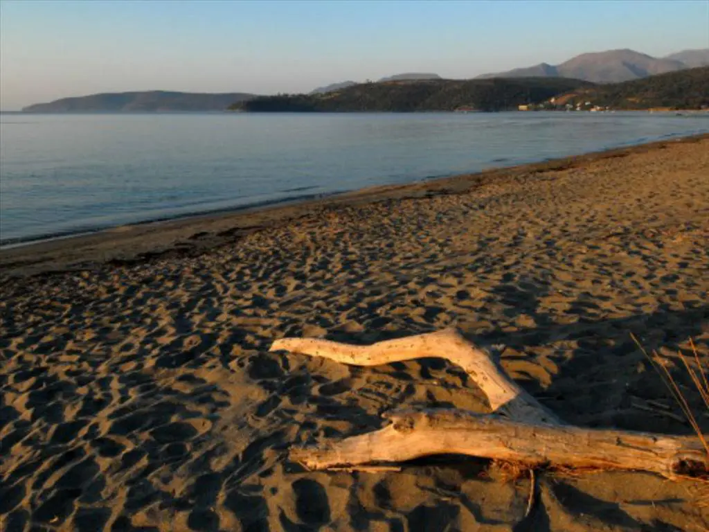 Land Of 13527 M² In Western Peloponnese