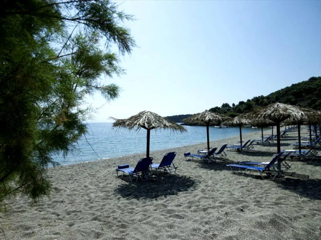 Land Of 13527 M² In Western Peloponnese
