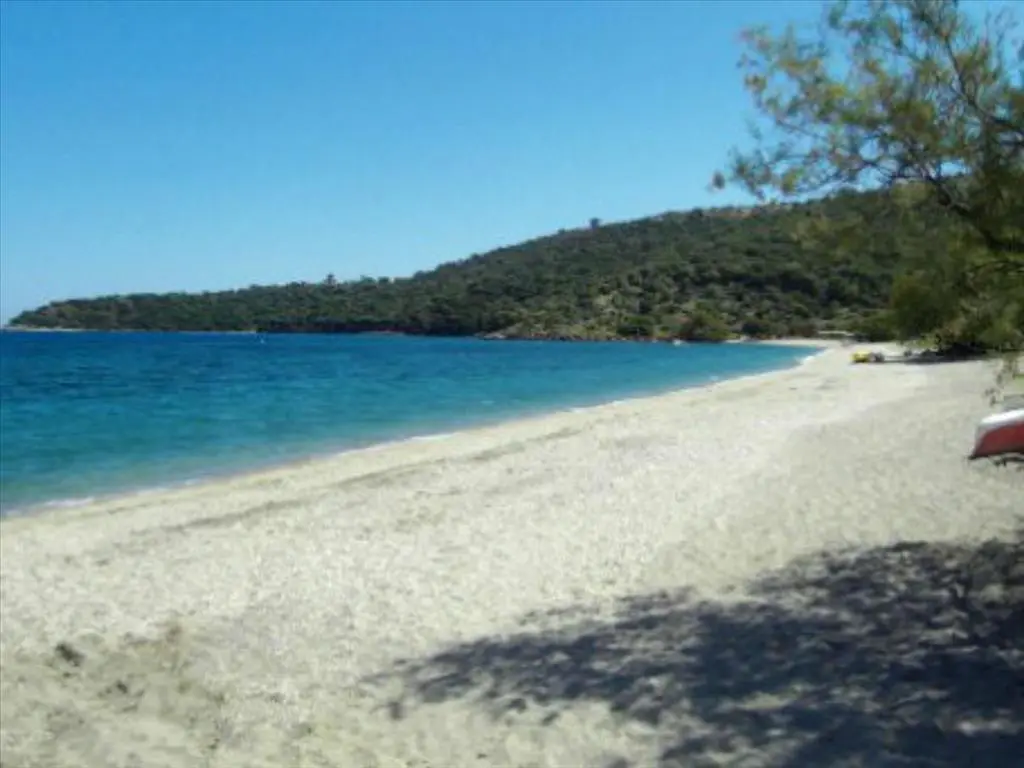 Land Of 13527 M² In Western Peloponnese