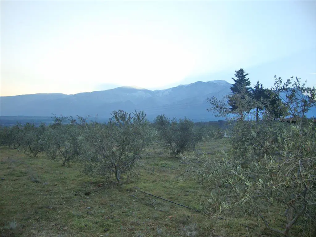 Land Of 4300 M² On The Olympic Coast